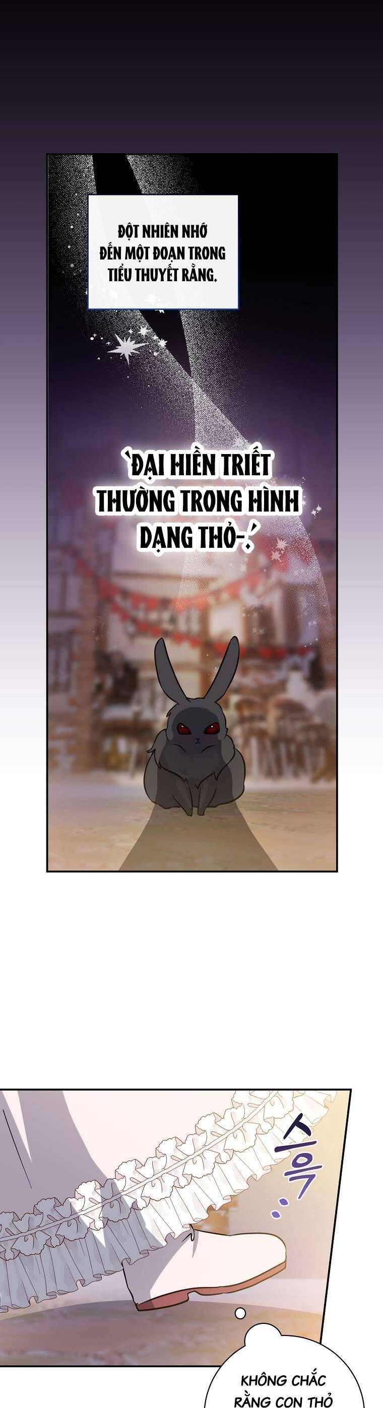 Tôi Không Muốn Có Con Với Nam Chính: Chapter 11