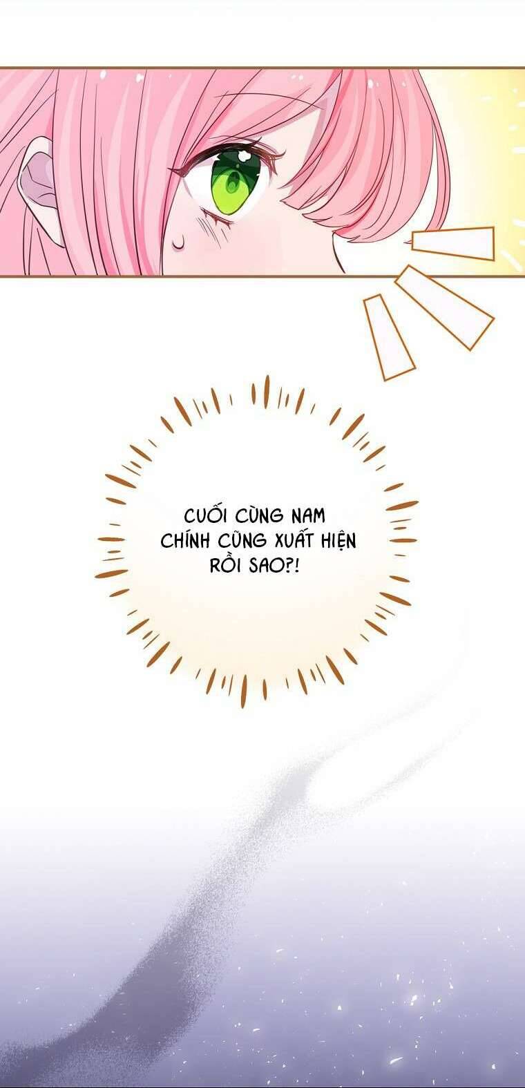 Tôi Không Muốn Có Con Với Nam Chính: Chương 2