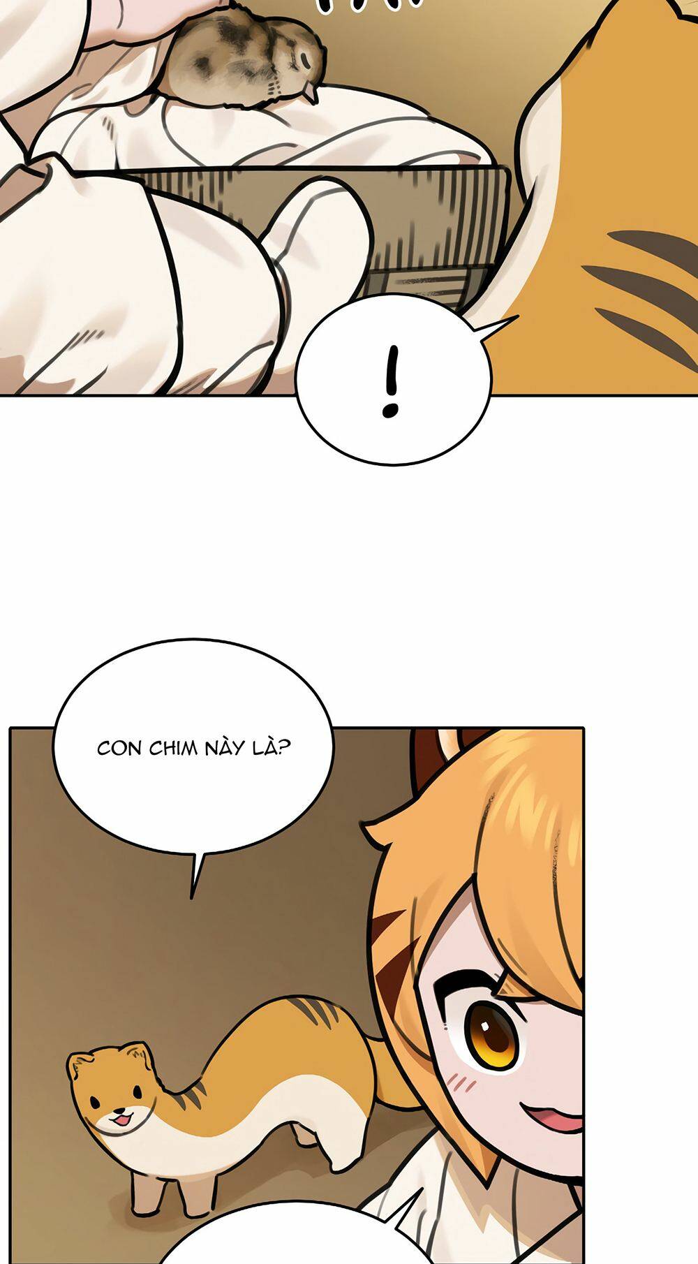Hổ Đến Chơi Nhà: Chapter 67