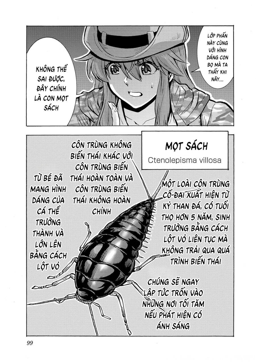 Kyochuu Rettou - Đảo Côn Trùng: Chương 64