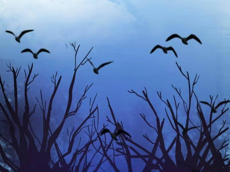 Tu Tiên Giả Cuối Cùng: Chapter 29