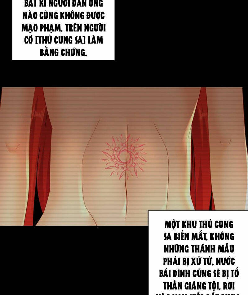 Tuyệt Sắc Đạo Lữ Đều Nói Ngô Hoàng Thể Chất Vô Địch: Chapter 135