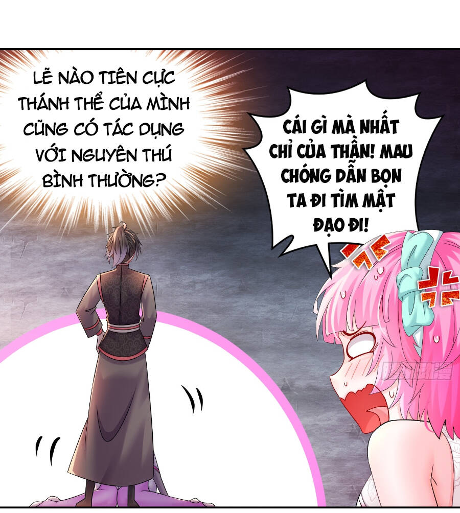 Tuyệt Sắc Đạo Lữ Đều Nói Ngô Hoàng Thể Chất Vô Địch: Chapter 23