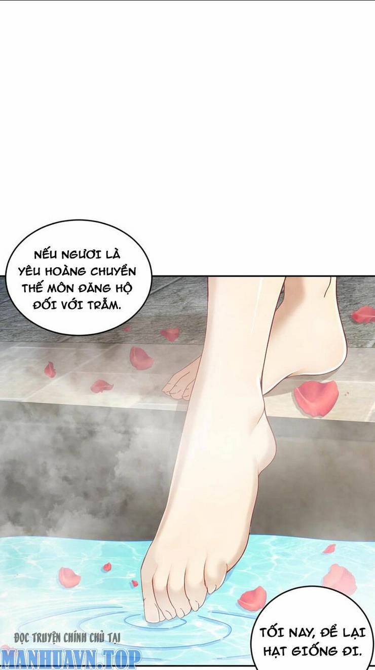 Tuyệt Sắc Đạo Lữ Đều Nói Ngô Hoàng Thể Chất Vô Địch: Chapter 205