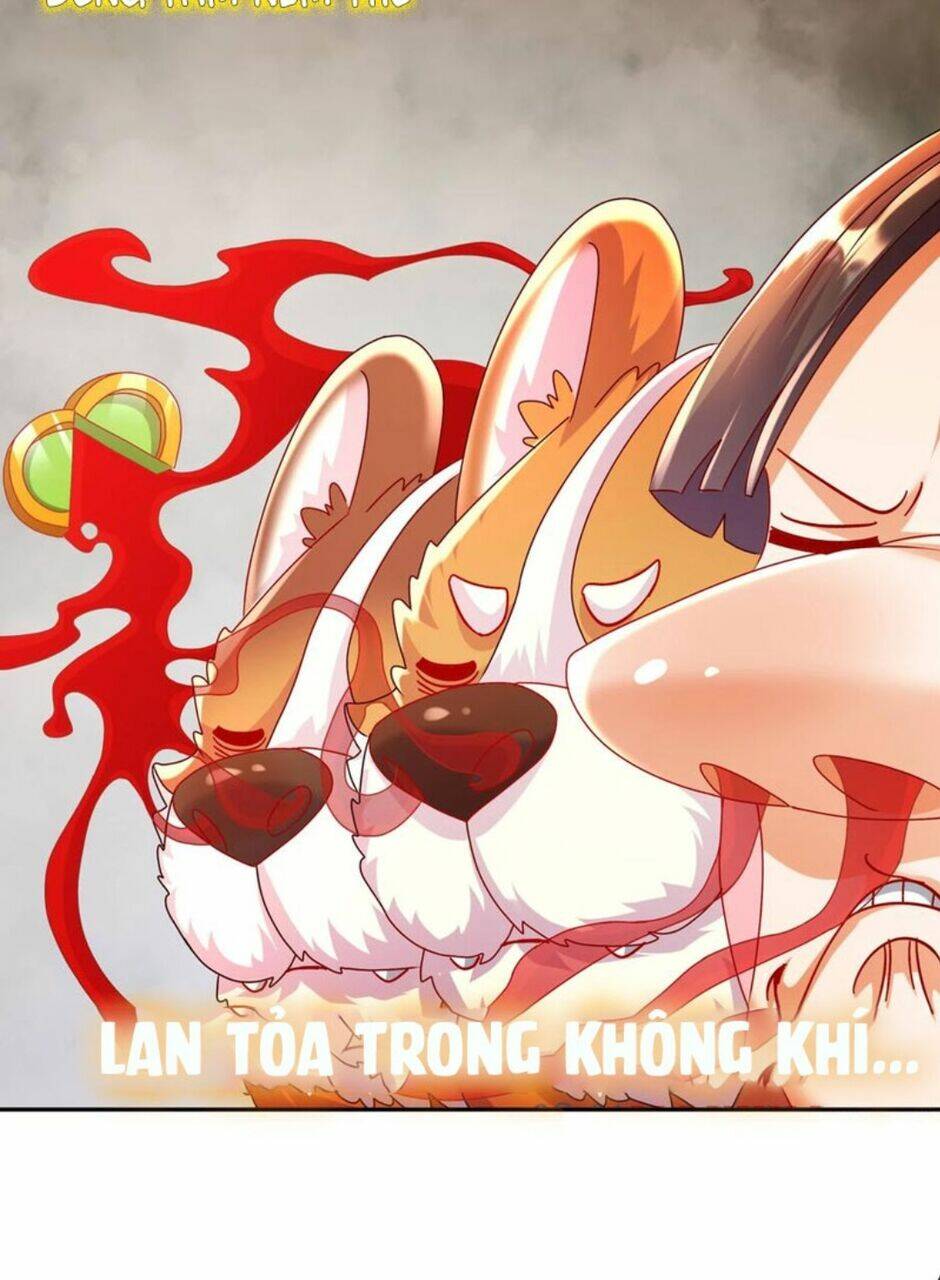 Tuyệt Sắc Đạo Lữ Đều Nói Ngô Hoàng Thể Chất Vô Địch: Chapter 61