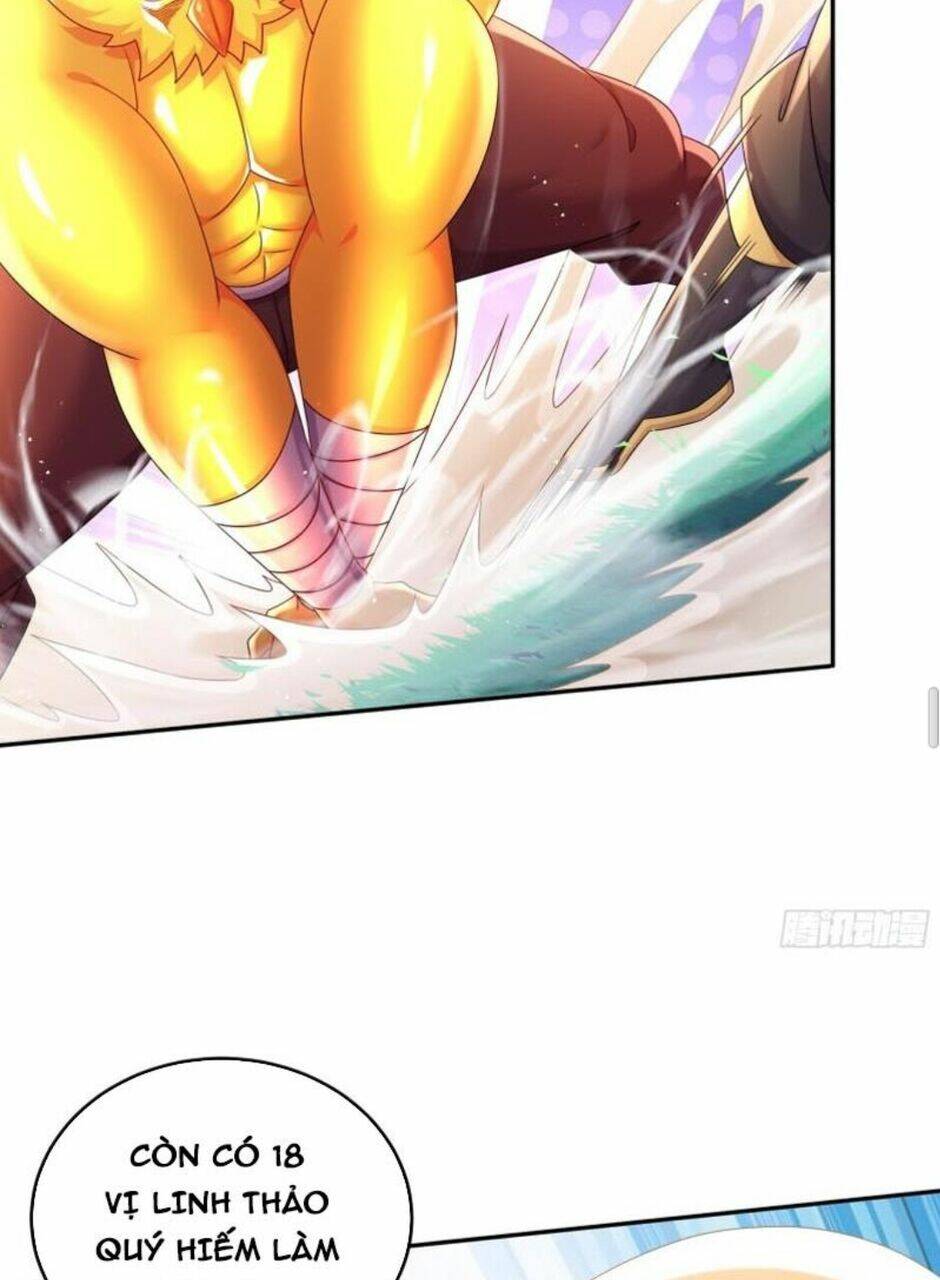 Tuyệt Sắc Đạo Lữ Đều Nói Ngô Hoàng Thể Chất Vô Địch: Chapter 62