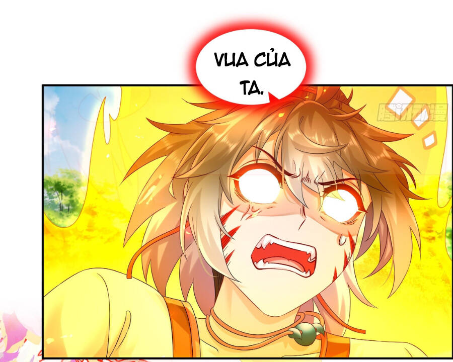 Tuyệt Sắc Đạo Lữ Đều Nói Ngô Hoàng Thể Chất Vô Địch: Chapter 7