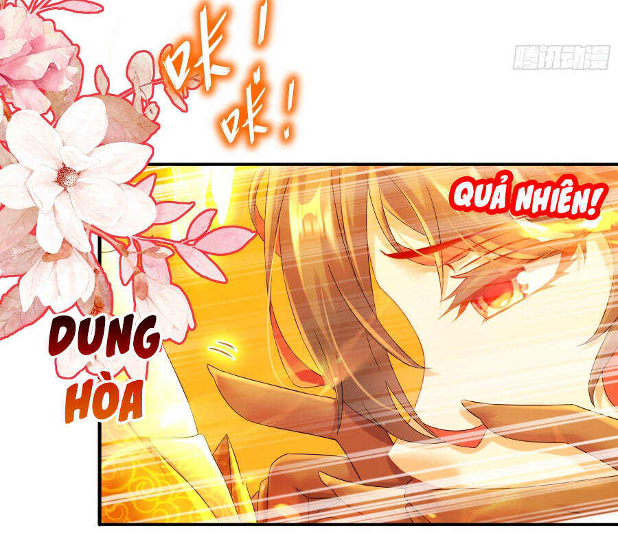Tuyệt Sắc Đạo Lữ Đều Nói Ngô Hoàng Thể Chất Vô Địch: Chapter 7
