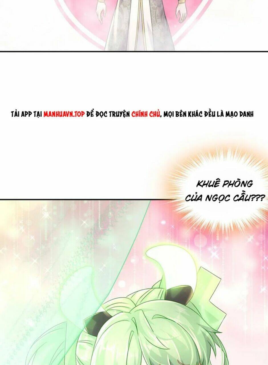 Tuyệt Sắc Đạo Lữ Đều Nói Ngô Hoàng Thể Chất Vô Địch: Chapter 82