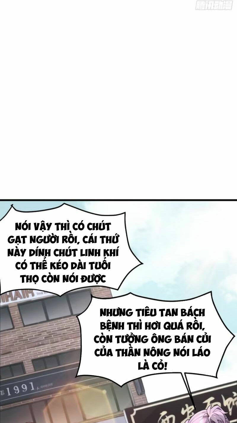 Ngươi Là Hạng Người Gì Cũng Dám Ở Tiên Giới Lên Mặt Với Ta?: Chapter 51