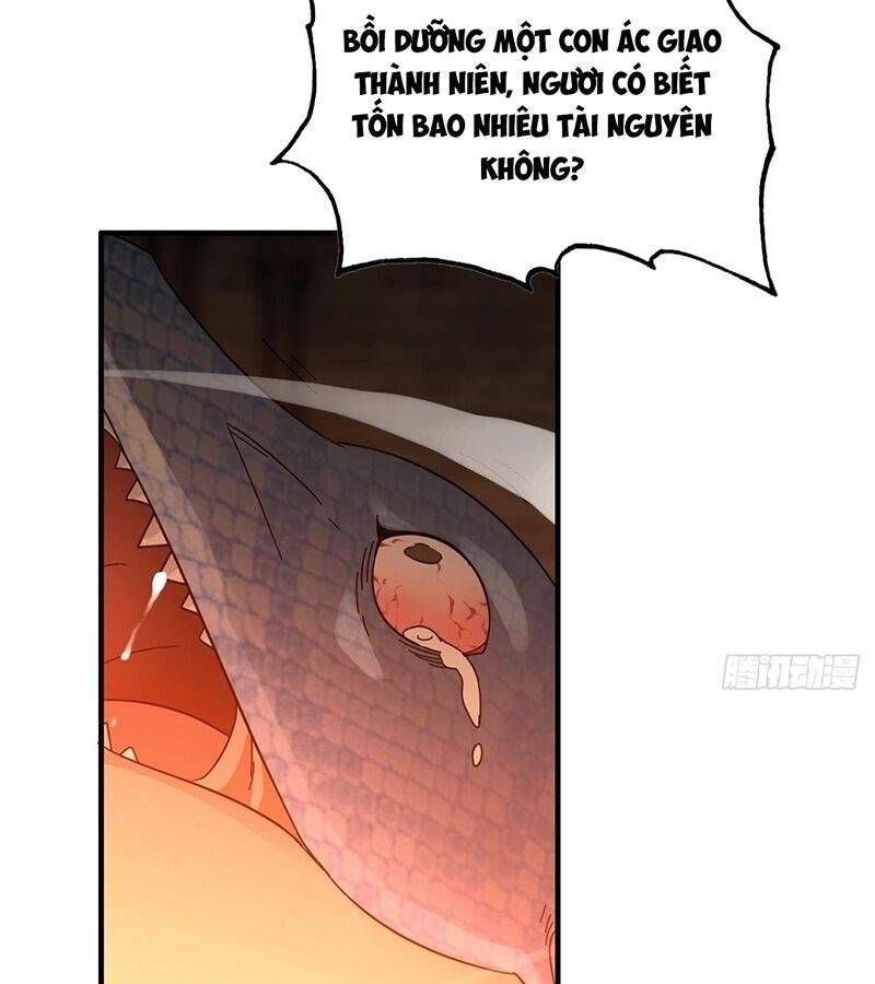 Tu Tiên Chính Là Như Vậy: Chapter 162