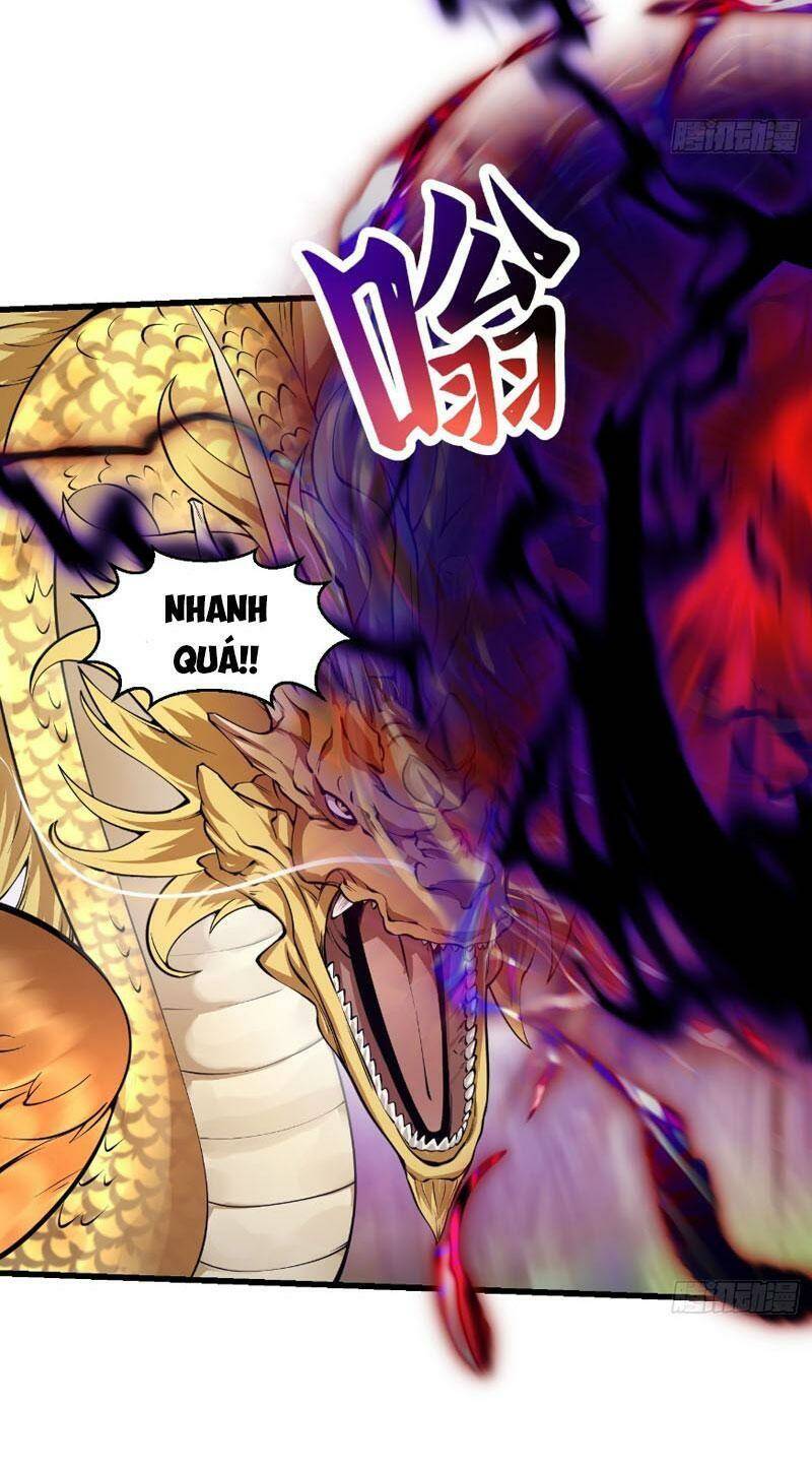 Ta Chẳng Qua Là Một Đại La Kim Tiên: Chapter 291
