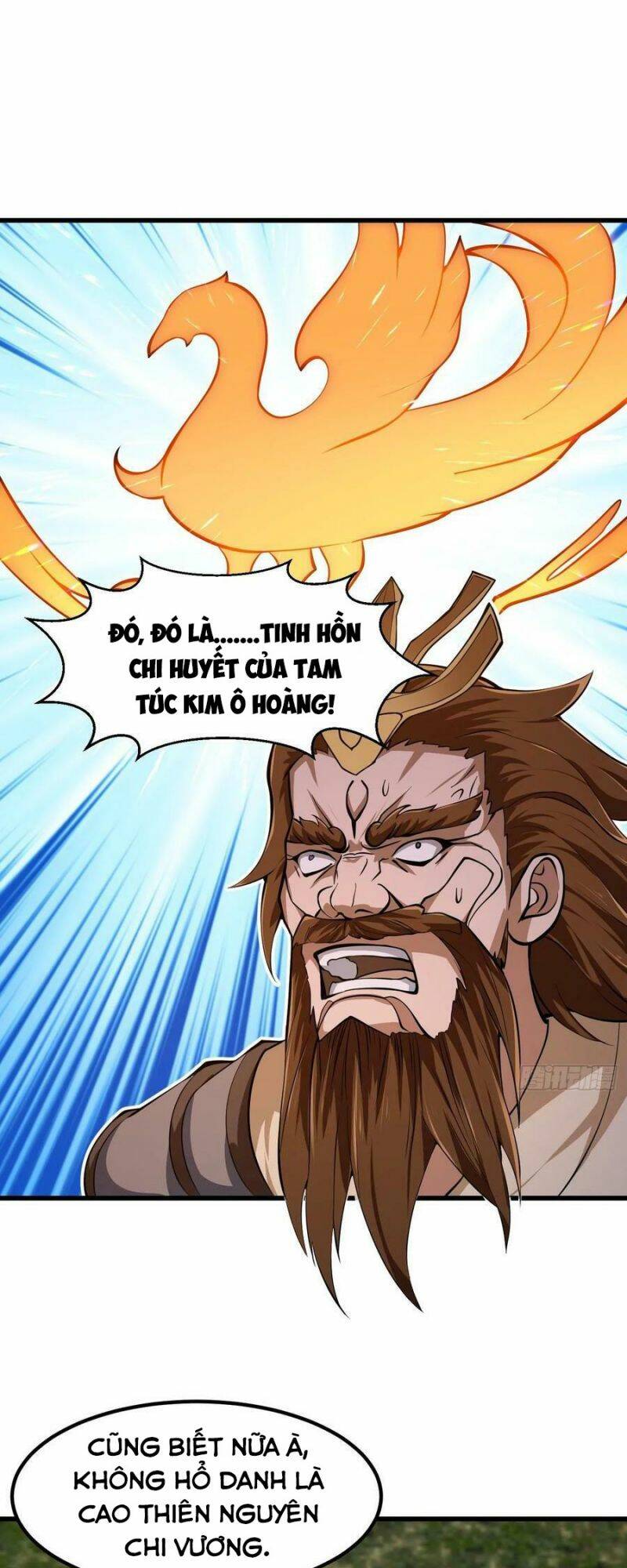 Ta Chẳng Qua Là Một Đại La Kim Tiên: Chapter 308