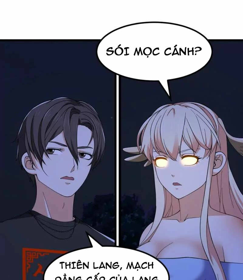 Ta Chẳng Qua Là Một Đại La Kim Tiên: Chapter 367
