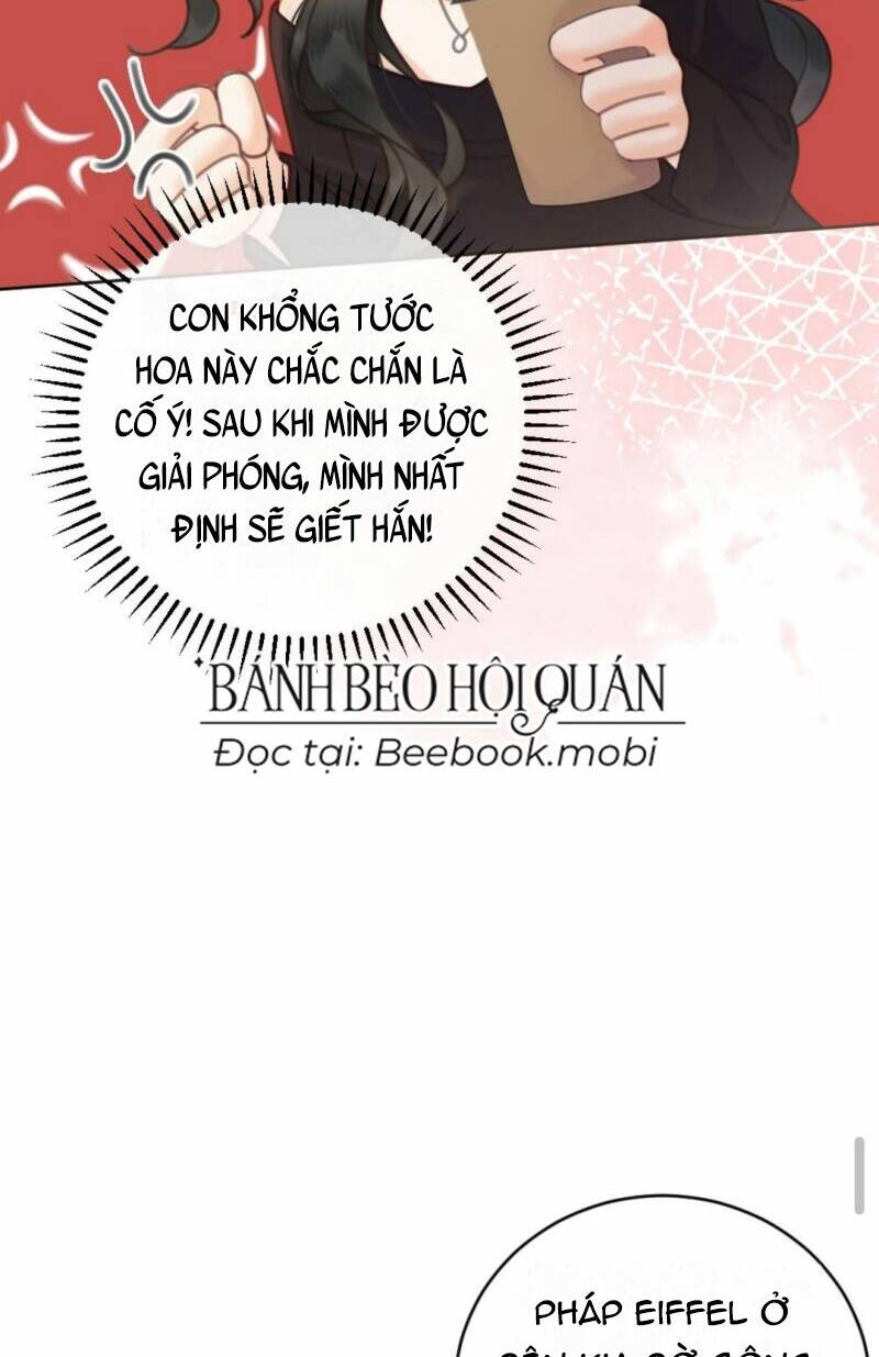 Cùng Đỉnh Lưu Ảnh Đế Yêu Đương Phát Đường: Chapter 31