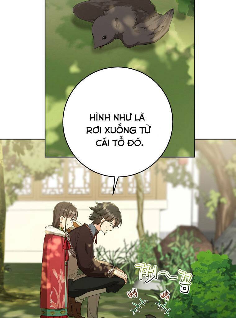 Trở Thành Cô Cháu Gái Bị Khinh Miệt Của Gia Tộc Võ Lâm: Chapter 18