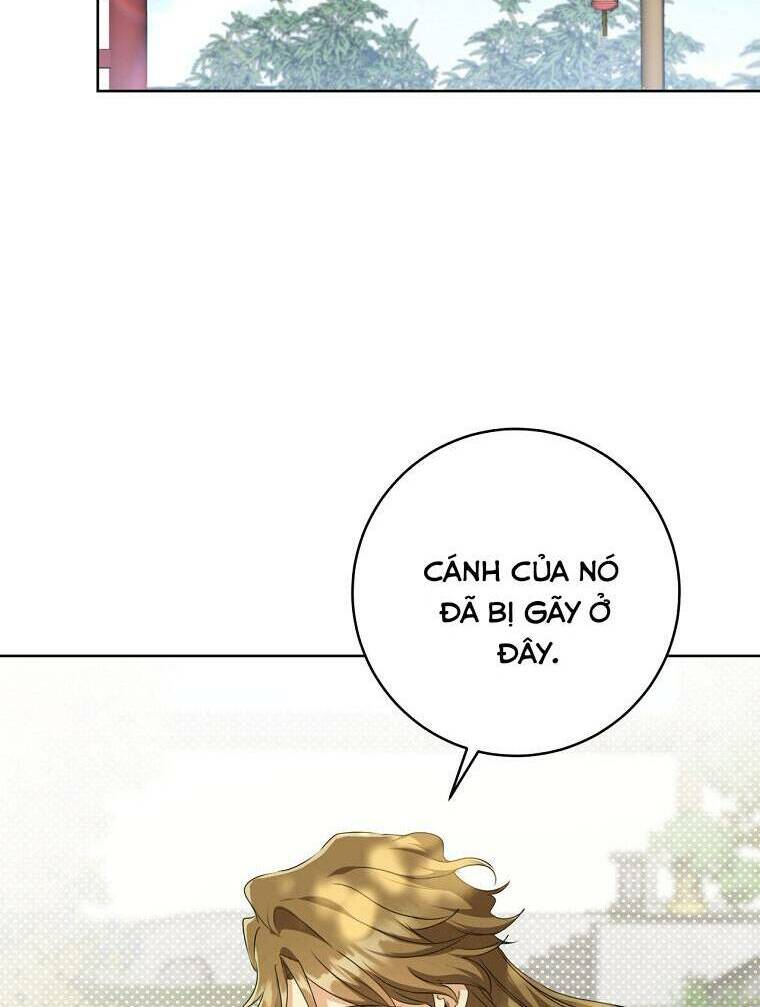 Trở Thành Cô Cháu Gái Bị Khinh Miệt Của Gia Tộc Võ Lâm: Chapter 18