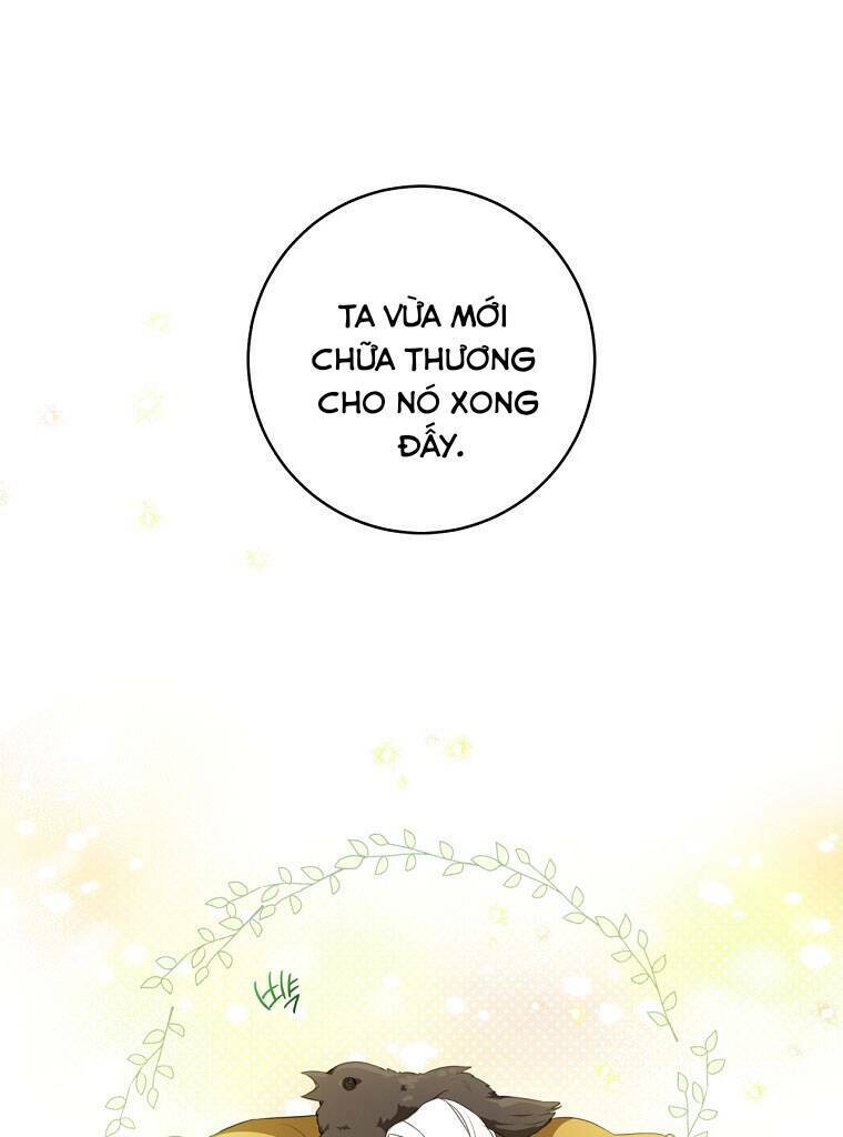 Trở Thành Cô Cháu Gái Bị Khinh Miệt Của Gia Tộc Võ Lâm: Chapter 19