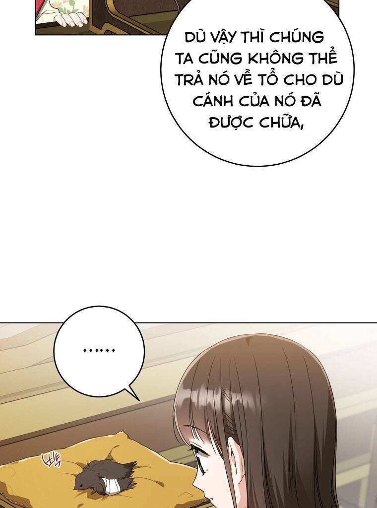 Trở Thành Cô Cháu Gái Bị Khinh Miệt Của Gia Tộc Võ Lâm: Chapter 19