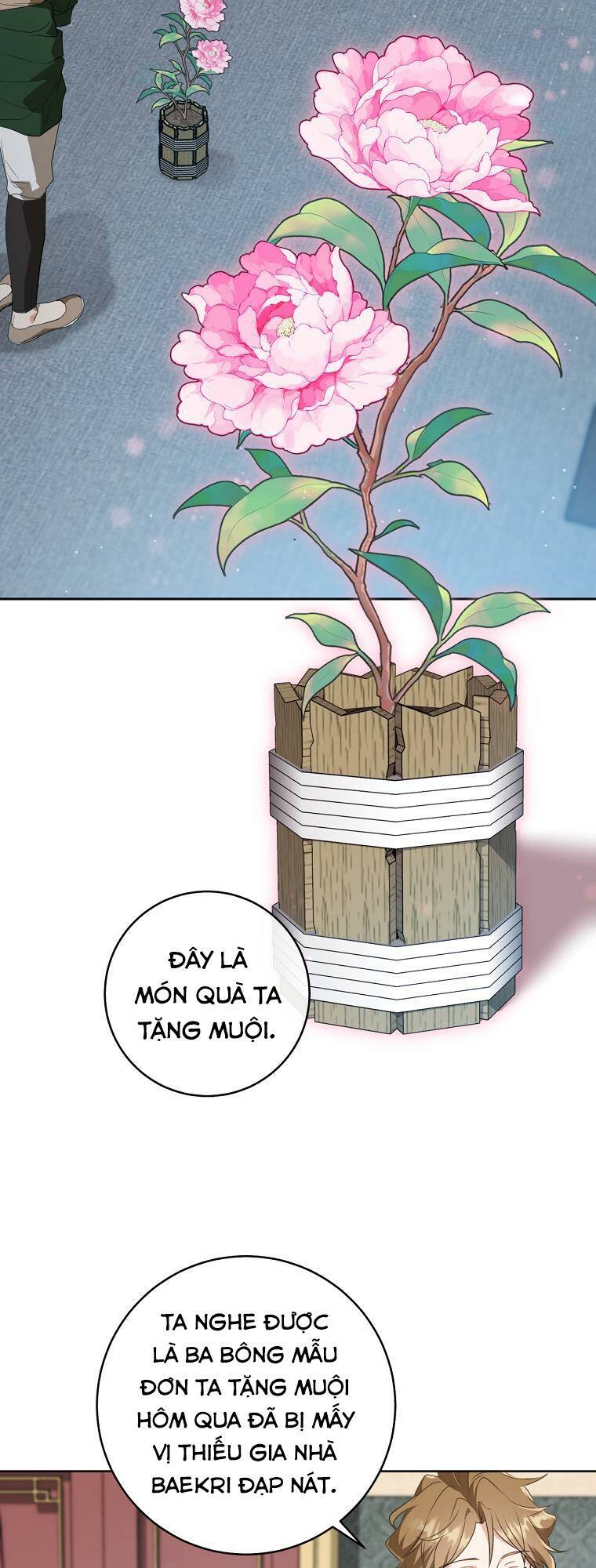 Trở Thành Cô Cháu Gái Bị Khinh Miệt Của Gia Tộc Võ Lâm: Chapter 25