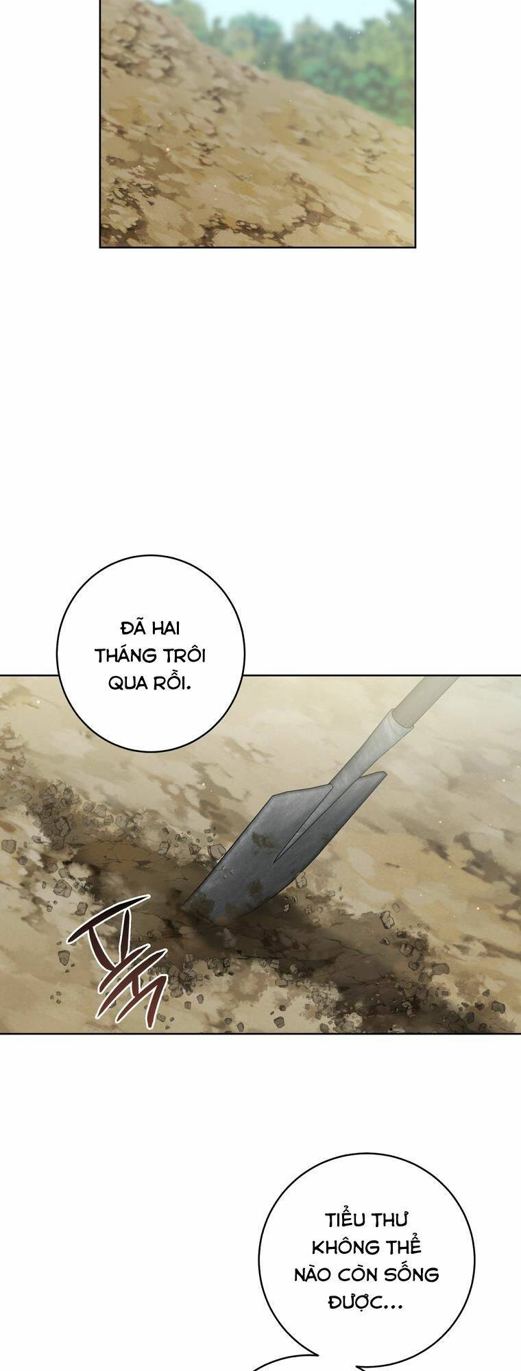 Trở Thành Cô Cháu Gái Bị Khinh Miệt Của Gia Tộc Võ Lâm: Chapter 38