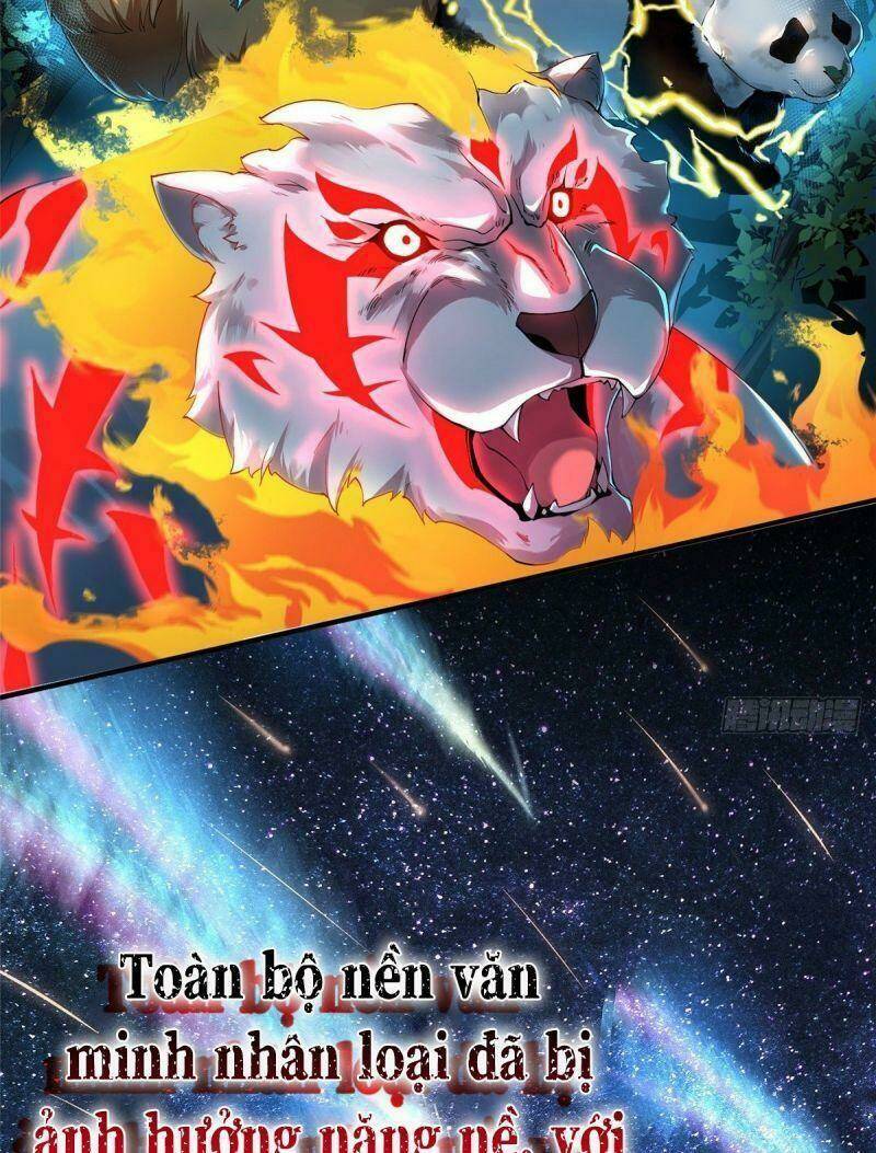 Thần Sủng Tiến Hóa: Chapter 0