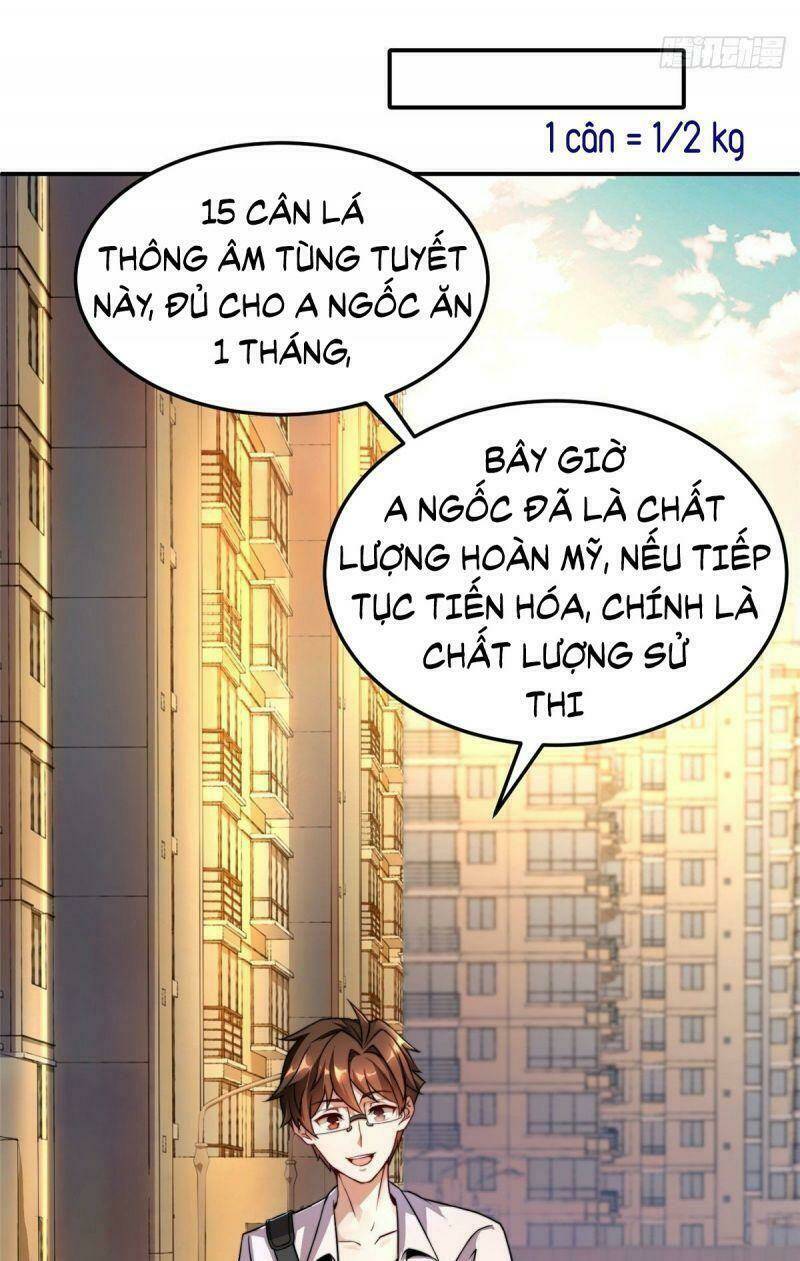 Thần Sủng Tiến Hóa: Chapter 12