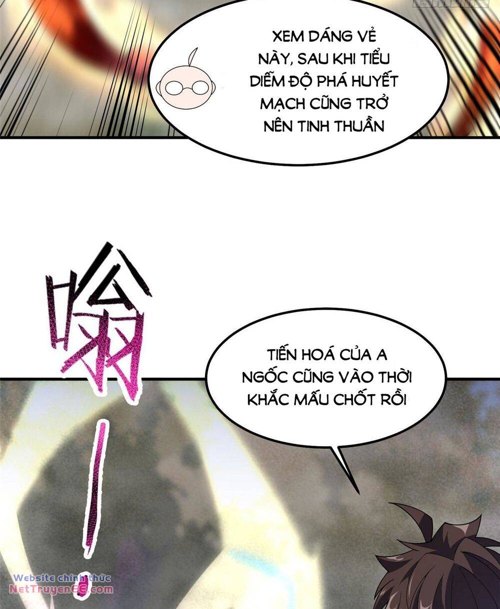 Thần Sủng Tiến Hóa: Chapter 288