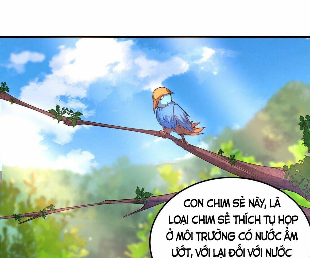Thần Sủng Tiến Hóa: Chapter 31