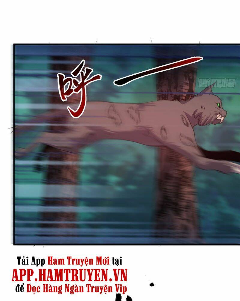 Thần Sủng Tiến Hóa: Chapter 47