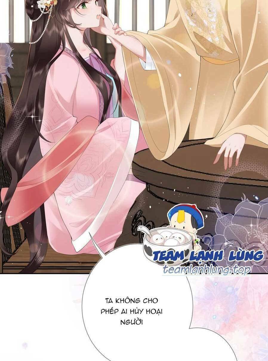 Không Biết Bệ Hạ Là Một Tiểu Cô Nương: Chapter 11