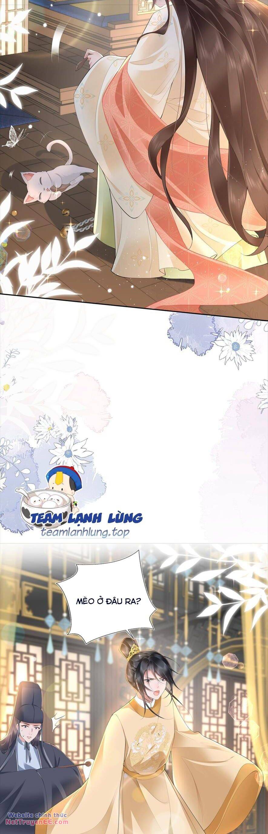 Không Biết Bệ Hạ Là Một Tiểu Cô Nương: Chapter 16
