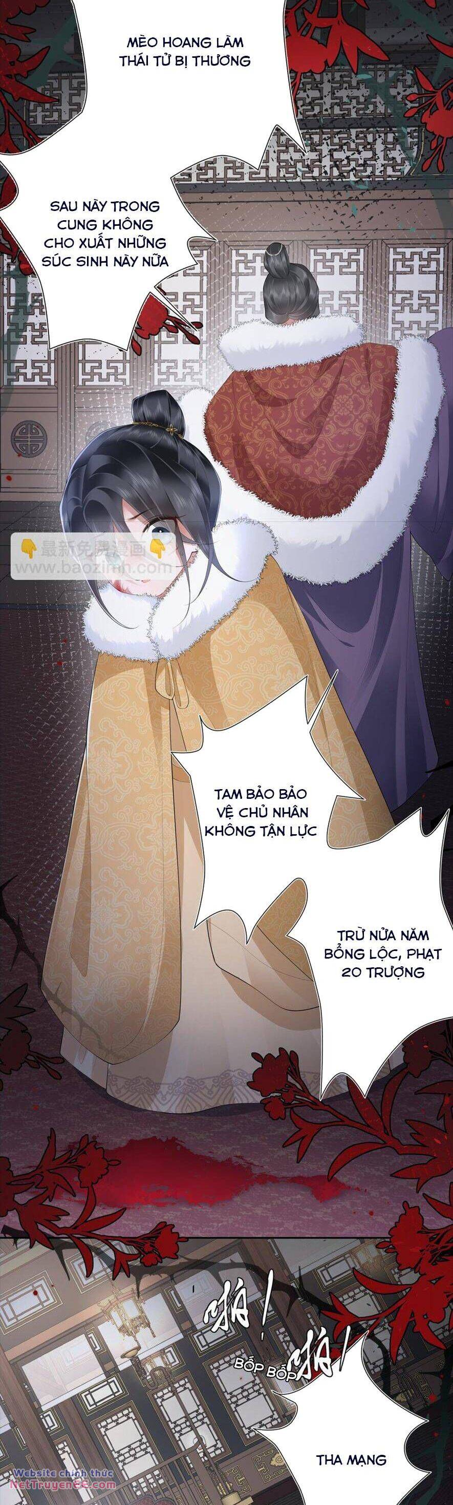 Không Biết Bệ Hạ Là Một Tiểu Cô Nương: Chapter 17