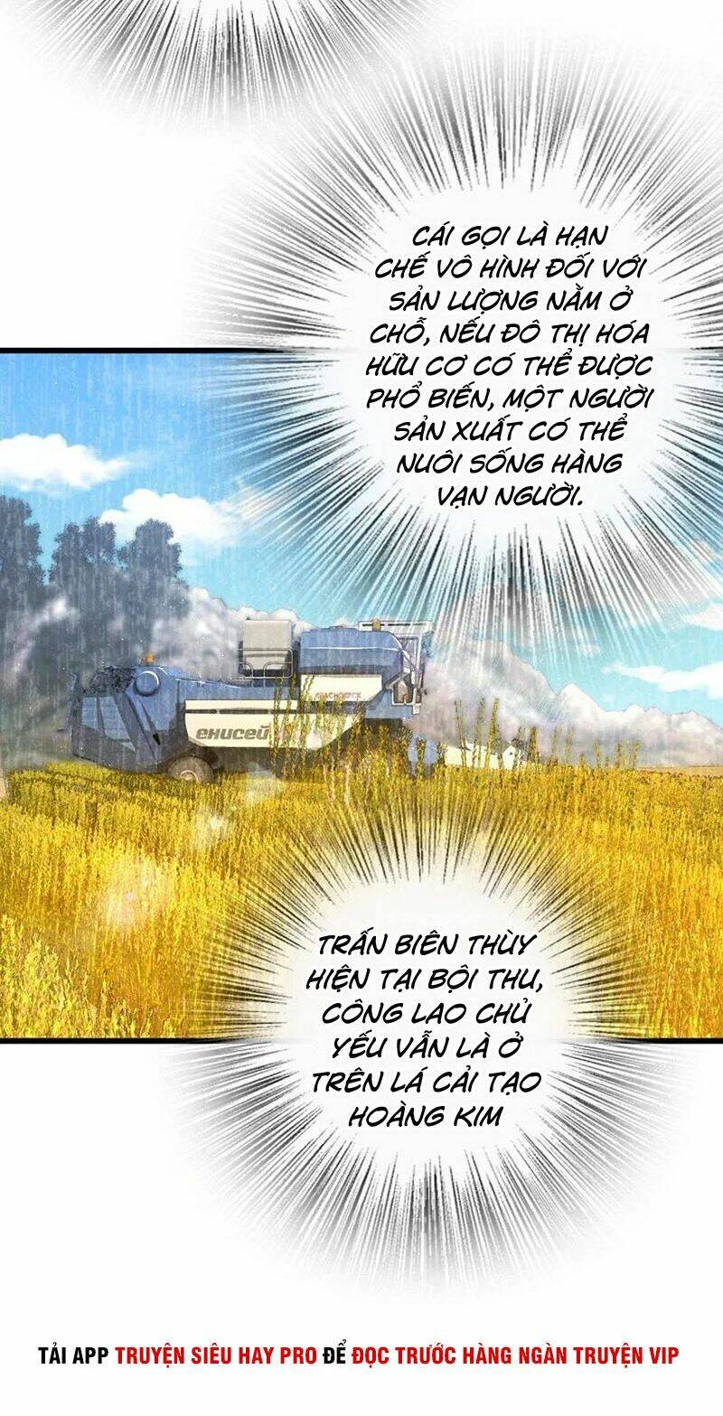Thả Vu Nữ Đó Ra: Chapter 165