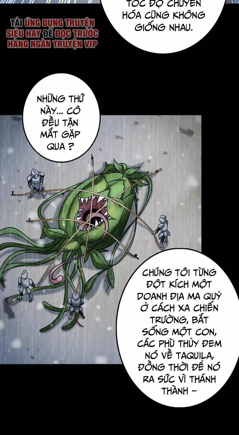 Thả Vu Nữ Đó Ra: Chapter 219