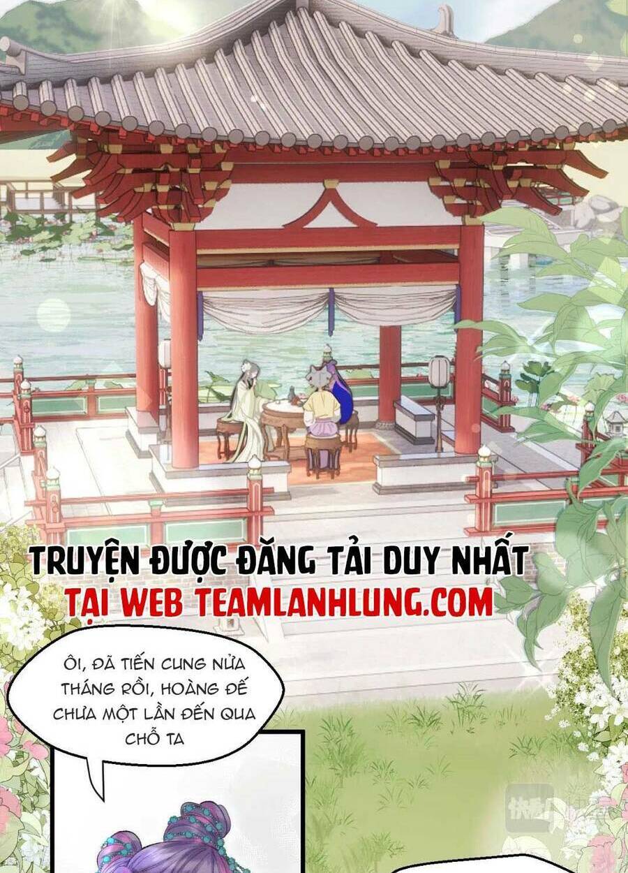 Ta Live Stream Trong Lãnh Cung: Chapter 5