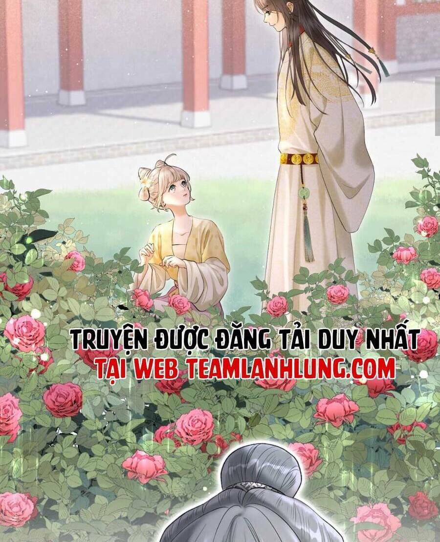 Ta Live Stream Trong Lãnh Cung: Chapter 5