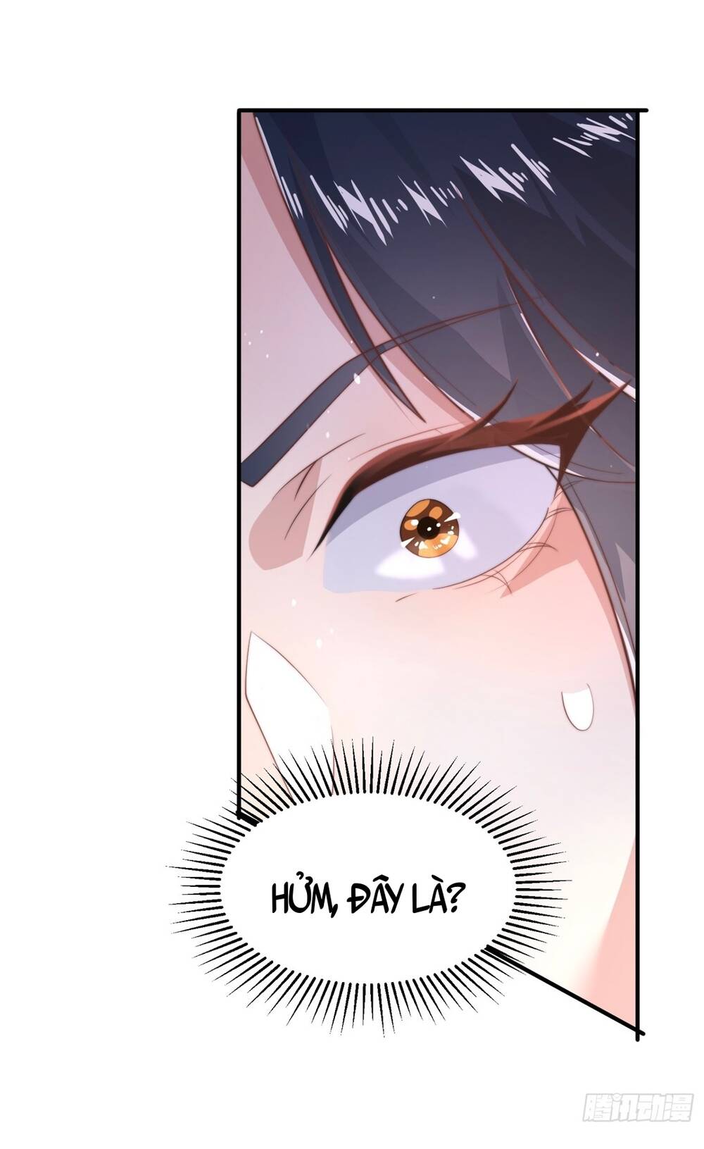 Nữ Đồ Đệ Ai Nấy Đều Muốn Giết Ta: Chapter 13