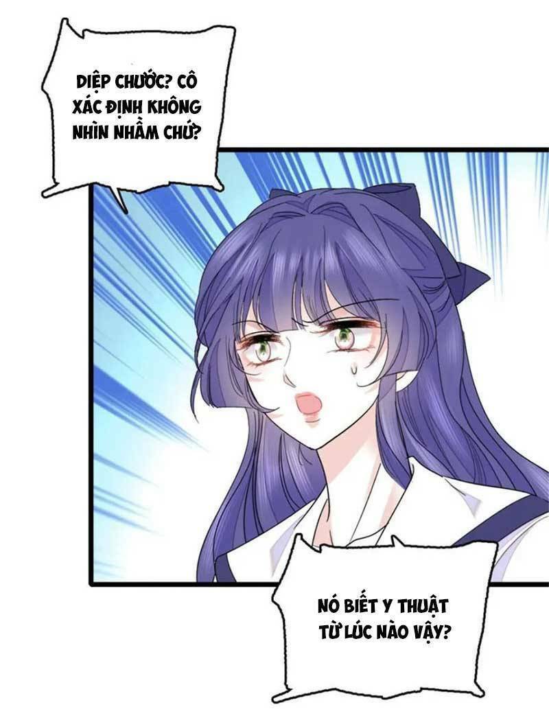 Thiên Kim Toàn Năng Bá Khí Ngút Trời: Chapter 22