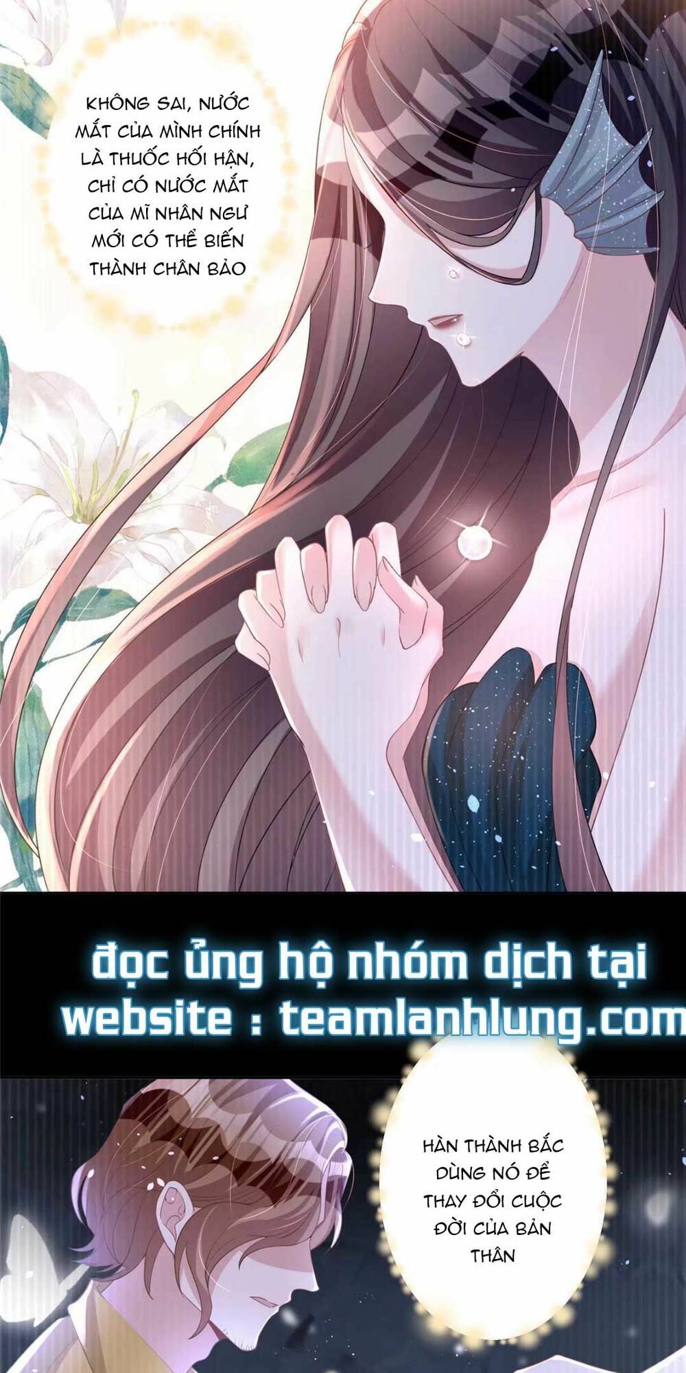 Tổng Tài Huyết Tộc Cực Sủng Cô Vợ Mỹ Nhân Ngư: Chapter 19