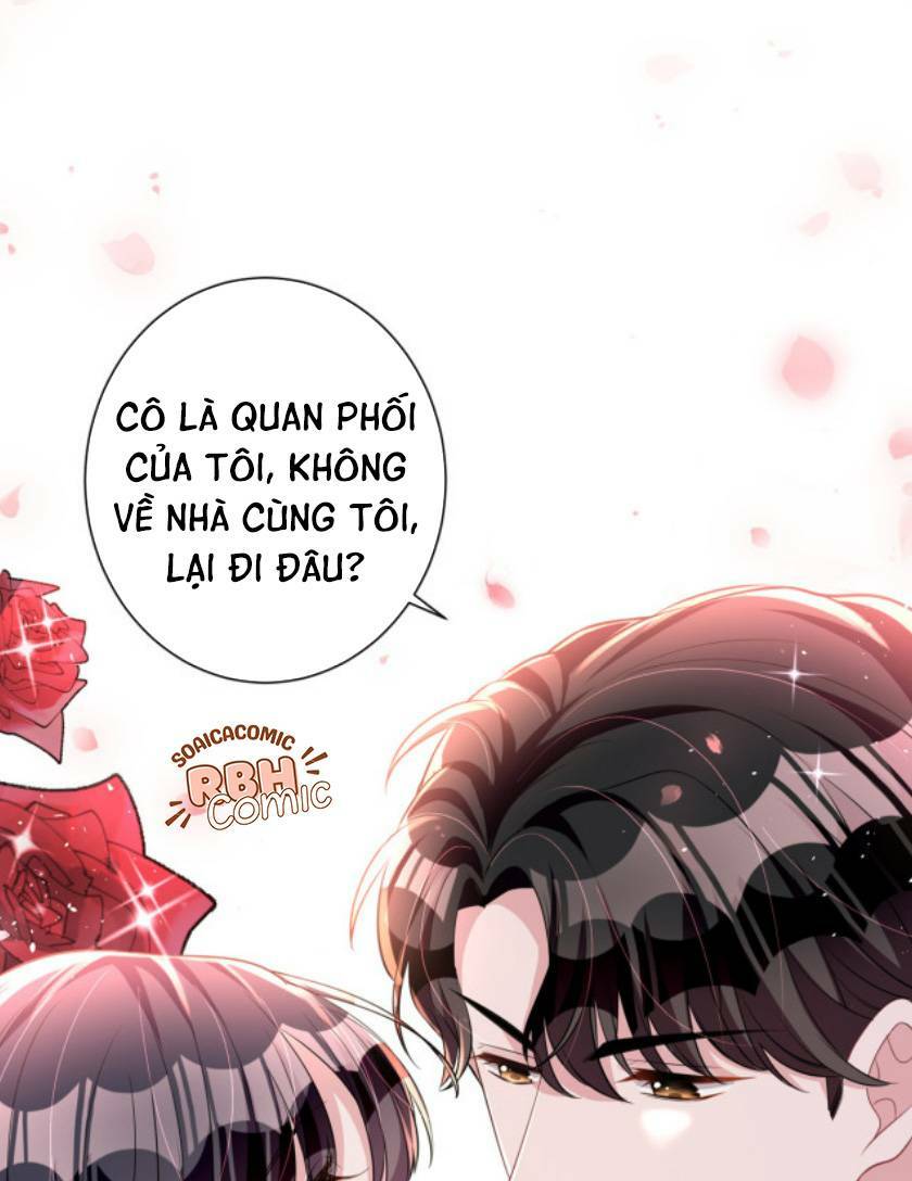 Tổng Tài Huyết Tộc Cực Sủng Cô Vợ Mỹ Nhân Ngư: Chapter 23