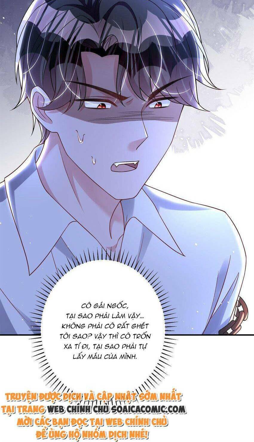 Tổng Tài Huyết Tộc Cực Sủng Cô Vợ Mỹ Nhân Ngư: Chapter 41
