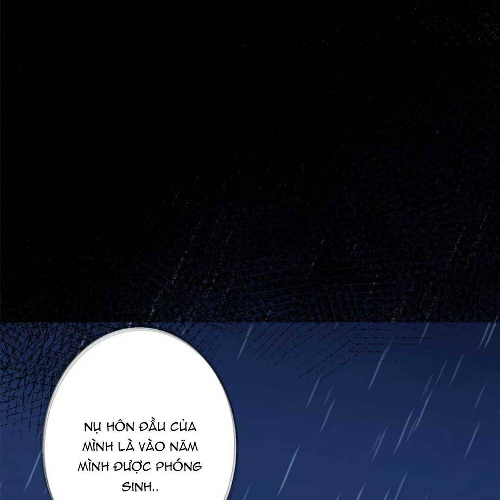 Tổng Tài Huyết Tộc Cực Sủng Cô Vợ Mỹ Nhân Ngư: Chapter 43