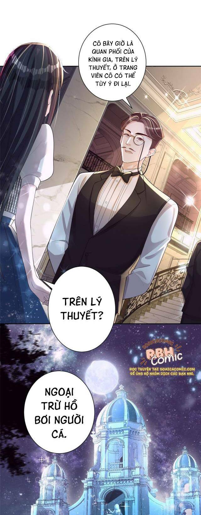 Tổng Tài Huyết Tộc Cực Sủng Cô Vợ Mỹ Nhân Ngư: Chapter 5