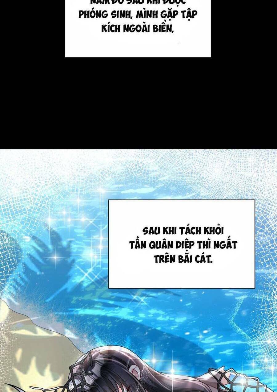 Tổng Tài Huyết Tộc Cực Sủng Cô Vợ Mỹ Nhân Ngư: Chapter 72