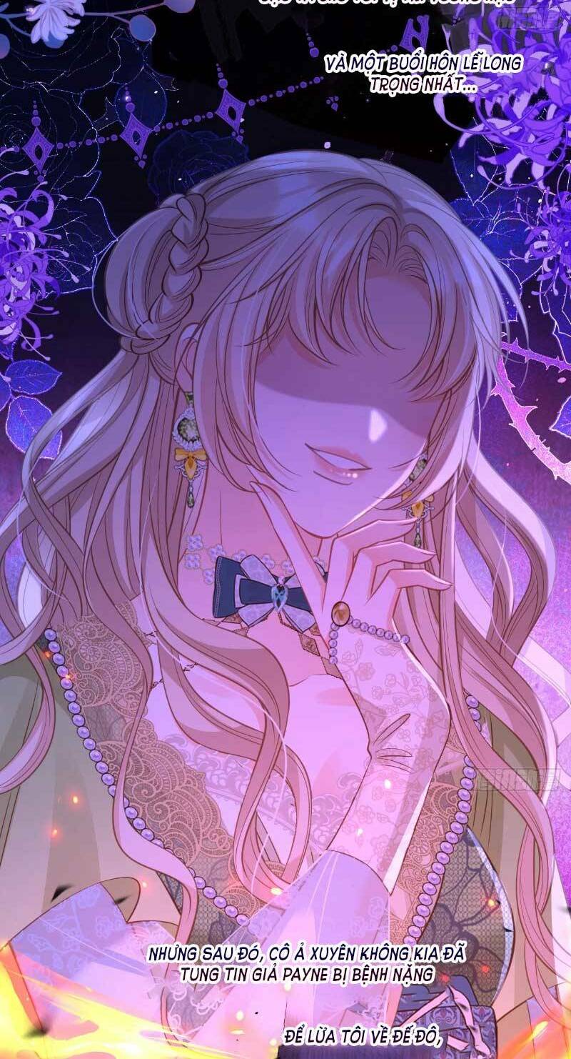 Cầu Hôn Giáo Hoàng: Chapter 4