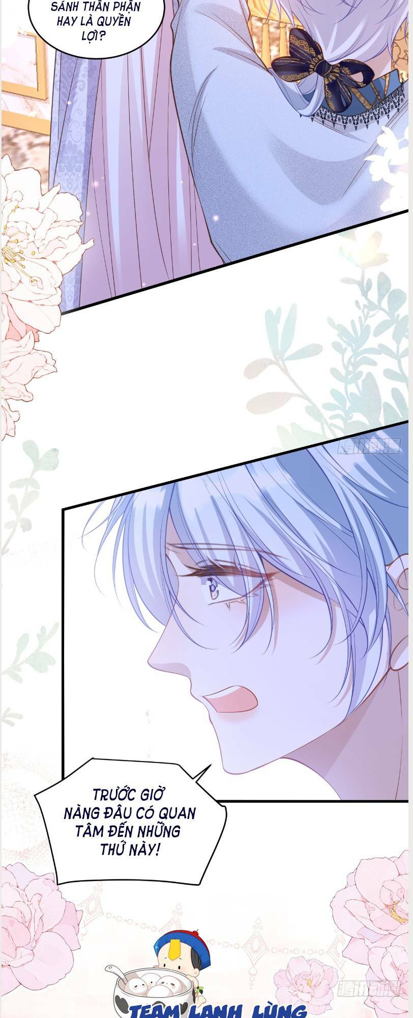 Cầu Hôn Giáo Hoàng: Chapter 4