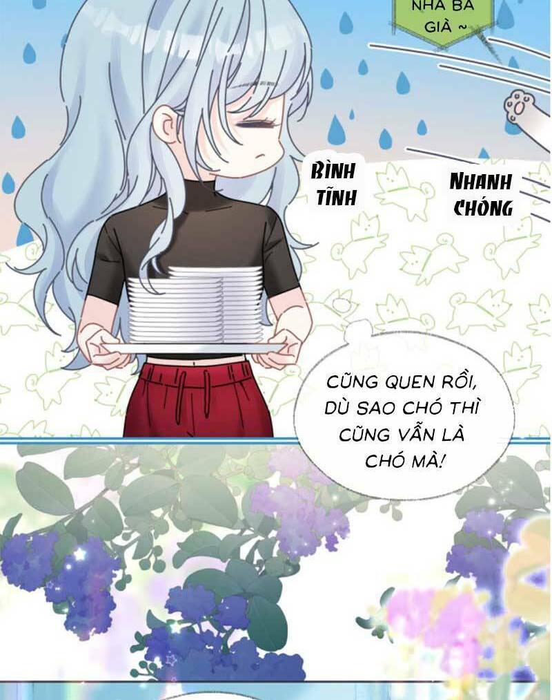 Ta Ở Hiện Đại Làm Đại Boss: Chapter 46