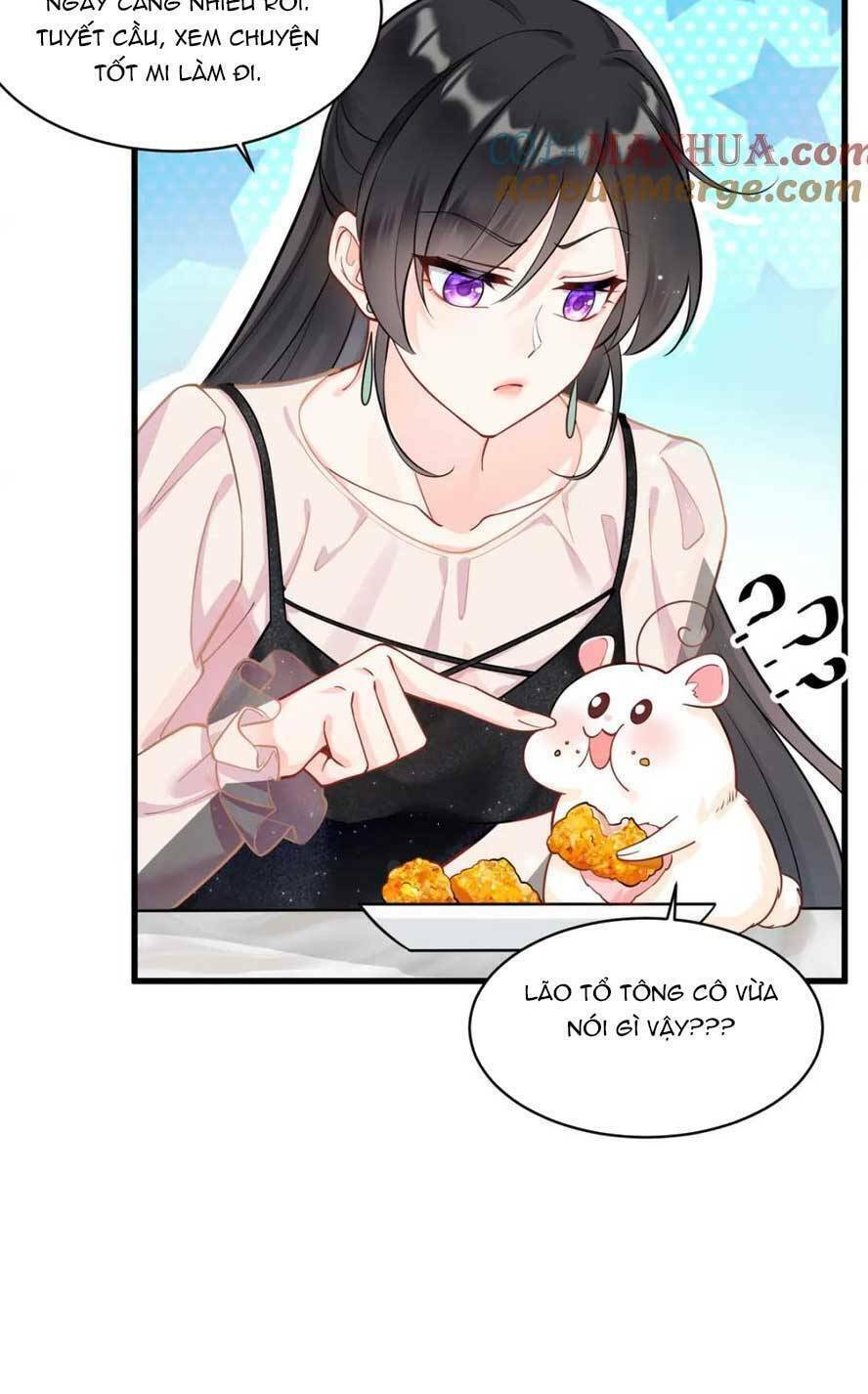 Lão Tổ Tông Vừa Xinh Vừa Ngầu: Chapter 40