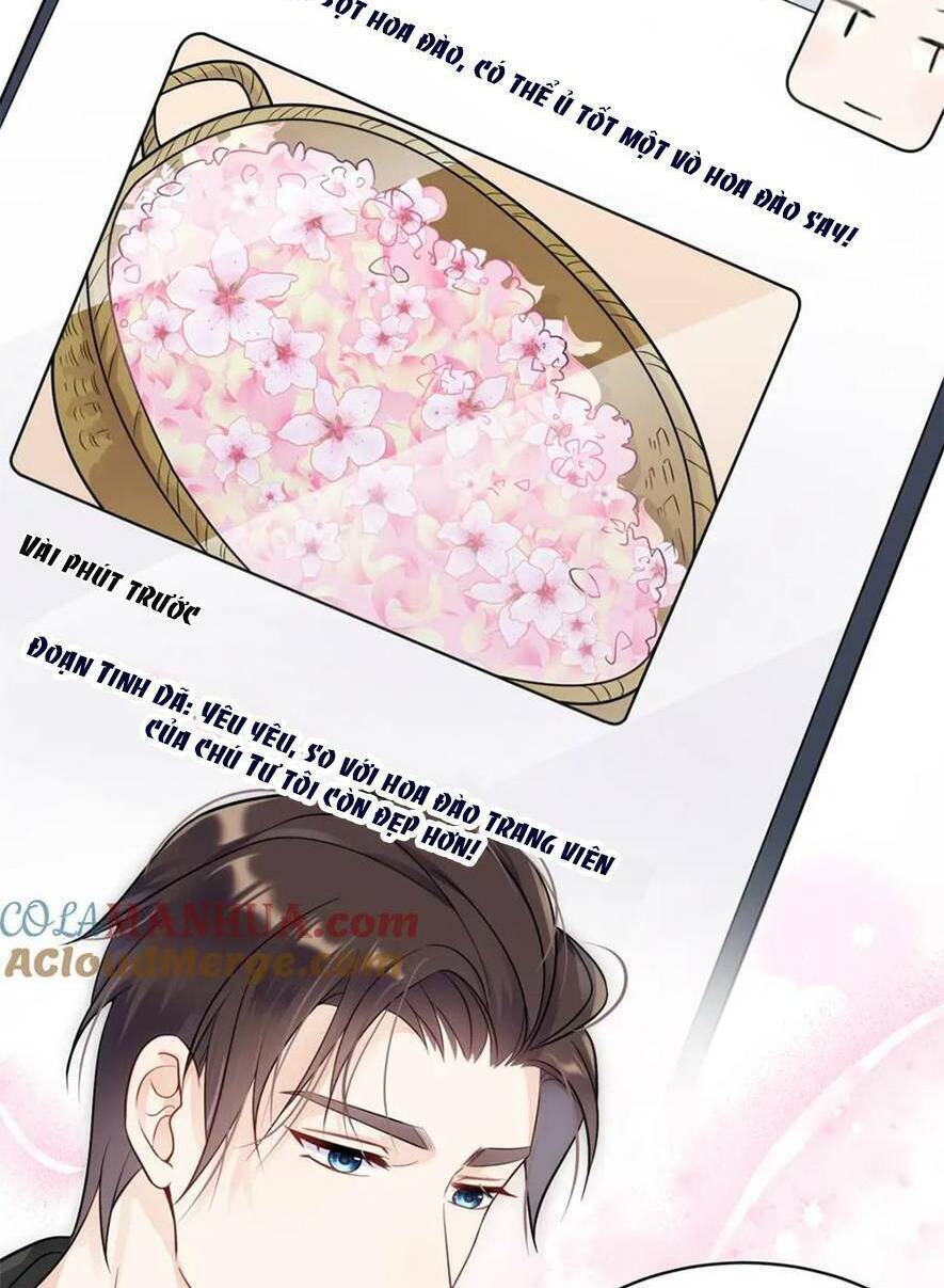 Lão Tổ Tông Vừa Xinh Vừa Ngầu: Chapter 52